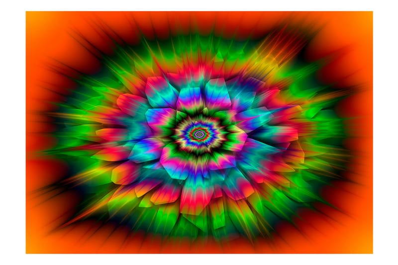 Fototapet Kaleidoscope Of Colours 100x70 - Artgeist sp. z o. o. - Fototapet