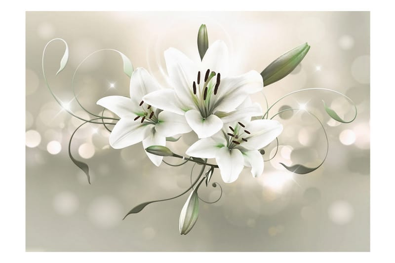 Fototapet Lily Flower Of Masters 250x175 - Artgeist sp. z o. o. - Fototapet