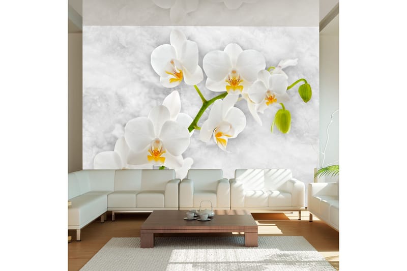 Fototapet Lyrical Orchid White 250x175 - Artgeist sp. z o. o. - Inredning - Väggdekor - Tapet & tapettillbehör - Fototapet