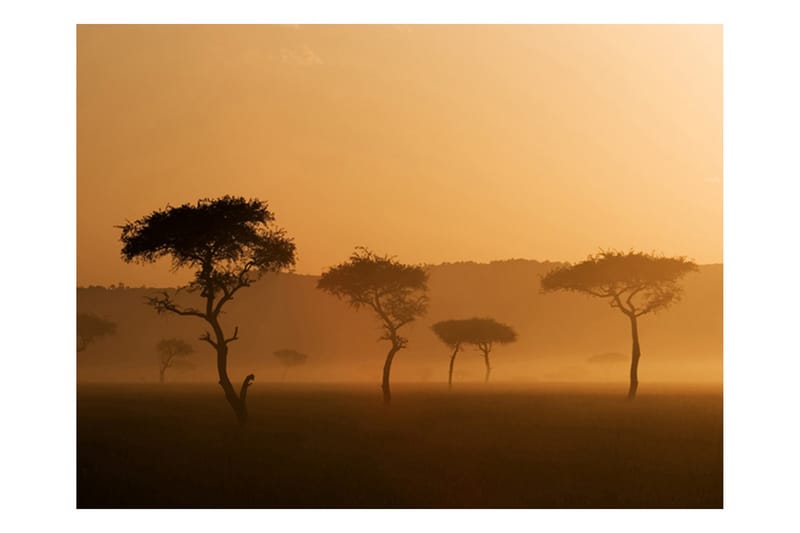 Fototapet Massai Mara 300x231 - Artgeist sp. z o. o. - Fototapet