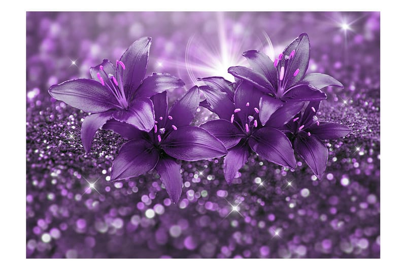Fototapet Masterpiece Of Purple 150x105 - Artgeist sp. z o. o. - Fototapet