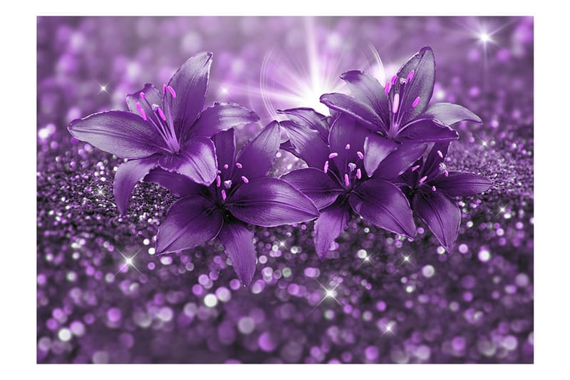 Fototapet Masterpiece Of Purple 400x280 - Artgeist sp. z o. o. - Inredning - Väggdekor - Tapet & tapettillbehör - Fototapet