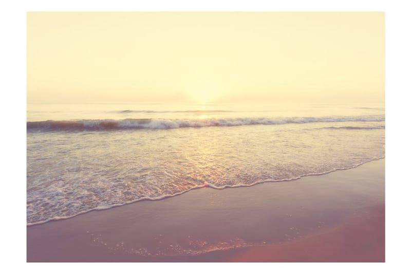 Fototapet Morning On The Beach 250x175 - Artgeist sp. z o. o. - Fototapet