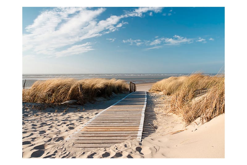 Fototapet Nordsjöns Strand Langeoog 300x231 - Artgeist sp. z o. o. - Inredning - Väggdekor - Tapet & tapettillbehör - Fototapet