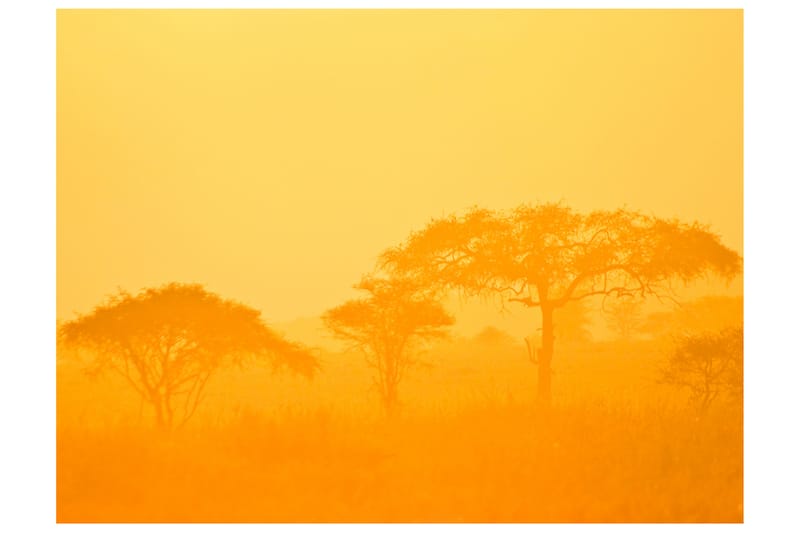 Fototapet Orange Savanna 400x309 - Artgeist sp. z o. o. - Inredning - Väggdekor - Tapet & tapettillbehör - Fototapet