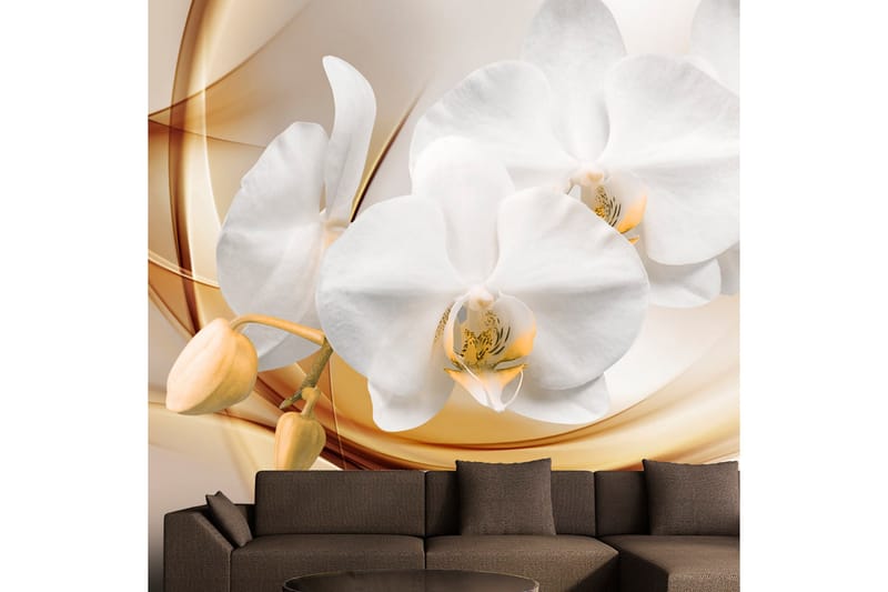Fototapet Orchid Blossom 300x210 - Artgeist sp. z o. o. - Fototapet
