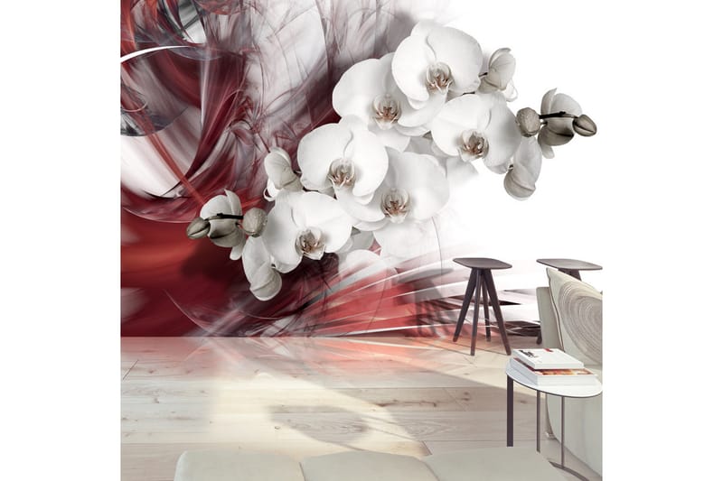 Fototapet Orchid In Red 250x175 - Artgeist sp. z o. o. - Fototapet