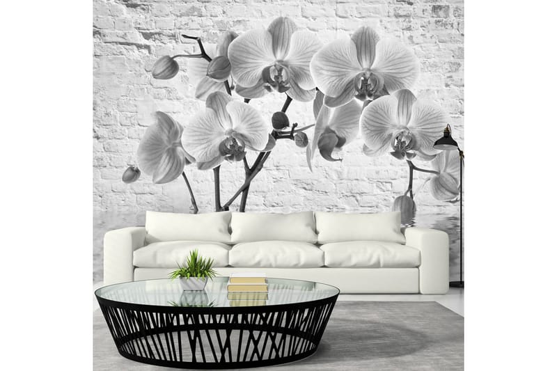 Fototapet Orchid In Shades Of Gray 150x105 - Artgeist sp. z o. o. - Fototapet