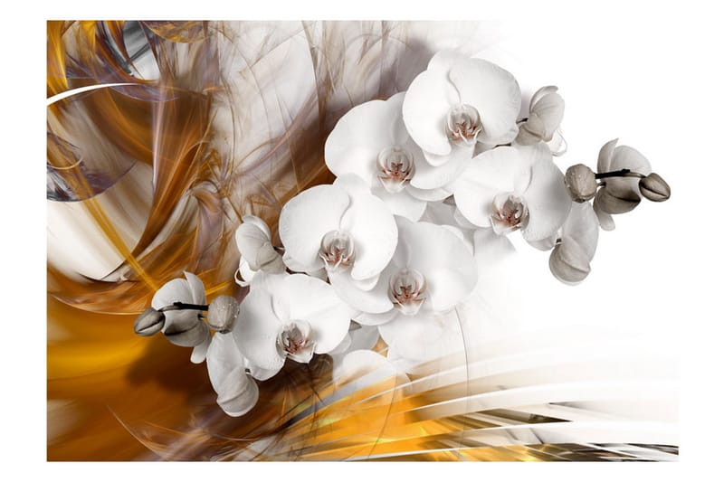 Fototapet Orchid On Fire 150x105 - Artgeist sp. z o. o. - Fototapet