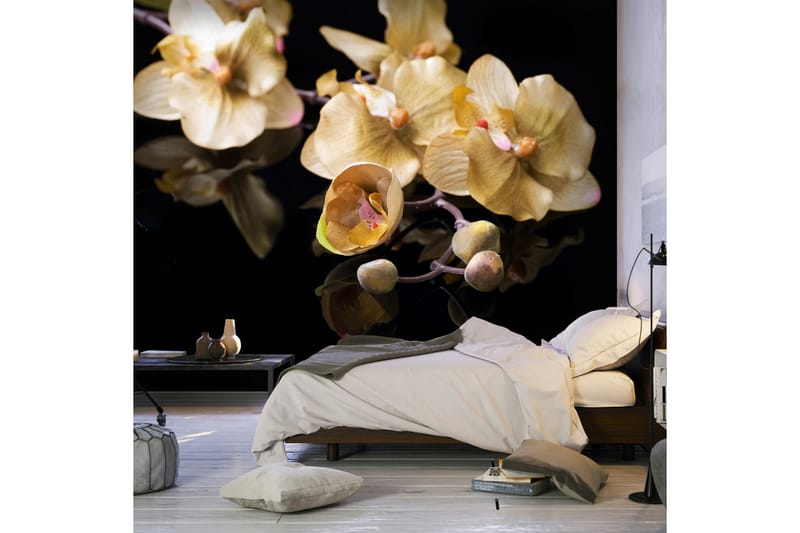 Fototapet Orchids In Ecru Color 400x309 - Artgeist sp. z o. o. - Fototapet