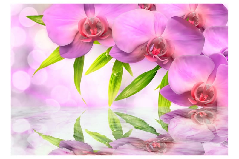 Fototapet Orchids In Lilac Colour 100x70 - Artgeist sp. z o. o. - Inredning - Väggdekor - Tapet & tapettillbehör - Fototapet