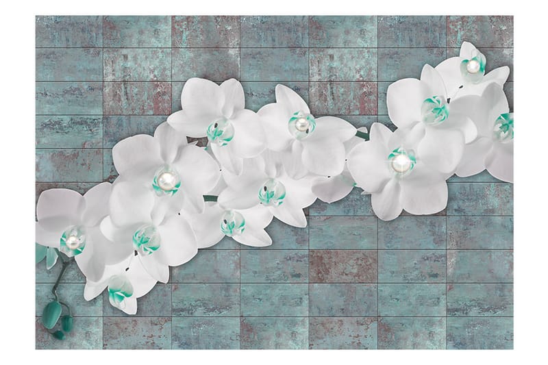 Fototapet Orchids With Pearls 150x105 - Artgeist sp. z o. o. - Fototapet