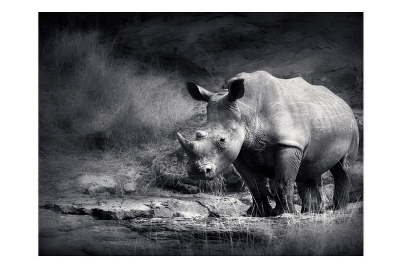 Fototapet Rhino Lost In Dreams 350x270 - Artgeist sp. z o. o. - Fototapet