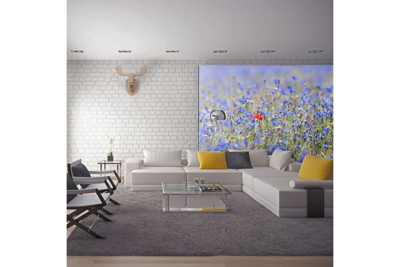 Fototapet Sky-Colored Meadow Cornflowers 300x231 - Artgeist sp. z o. o. - Fototapet