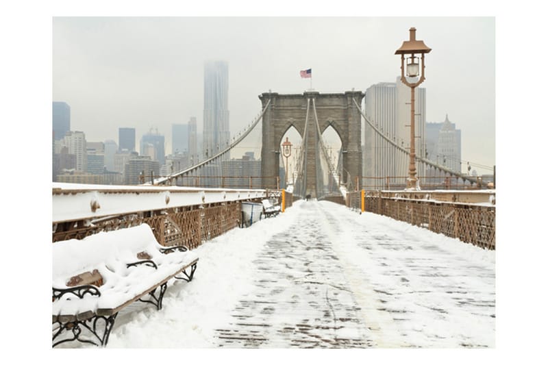 Fototapet Snötäckt Bro New York 350x270 - Artgeist sp. z o. o. - Inredning - Väggdekor - Tapet & tapettillbehör - Fototapet