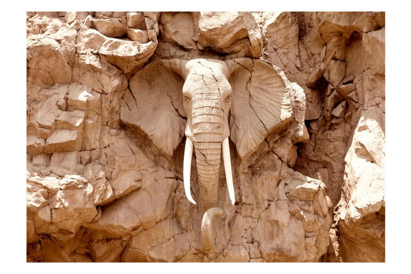 Fototapet Stone Elephant South Africa 350x245 - Artgeist sp. z o. o. - Fototapet