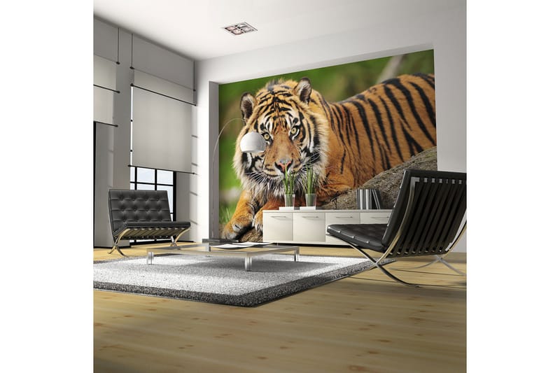 Fototapet Sumatra Tiger 300x231 - Artgeist sp. z o. o. - Fototapet