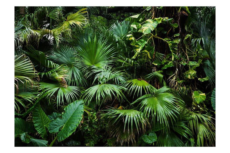 Fototapet Sunny Jungle 250x175 - Artgeist sp. z o. o. - Inredning - Väggdekor - Tapet & tapettillbehör - Fototapet