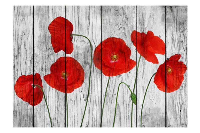 Fototapet Tale Of Red Poppies 150x105 - Artgeist sp. z o. o. - Fototapet