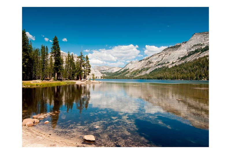 Fototapet Tenaya Lake Yosemite National Park 300x231 - Artgeist sp. z o. o. - Inredning - Väggdekor - Tapet & tapettillbehör - Fototapet