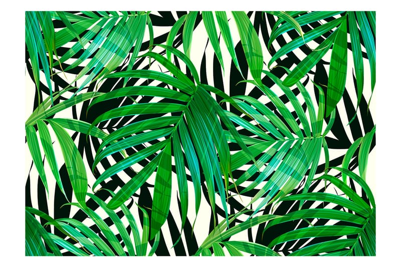 Fototapet Tropical Leaves 350x245 - Artgeist sp. z o. o. - Inredning - Väggdekor - Tapet & tapettillbehör - Fototapet