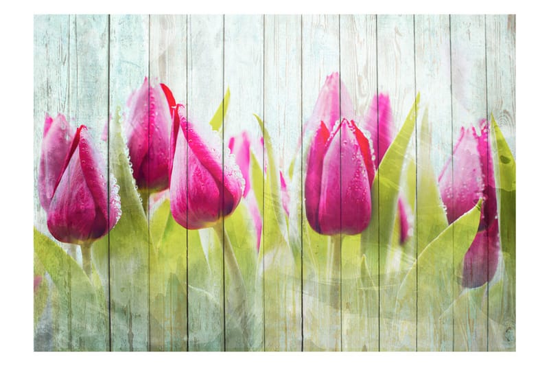 Fototapet Tulips On White Wood 350x245 - Artgeist sp. z o. o. - Inredning - Väggdekor - Tapet & tapettillbehör - Fototapet