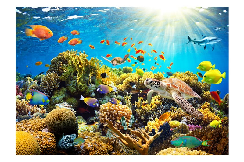 Fototapet Underwater Land 100x70 - Artgeist sp. z o. o. - Fototapet