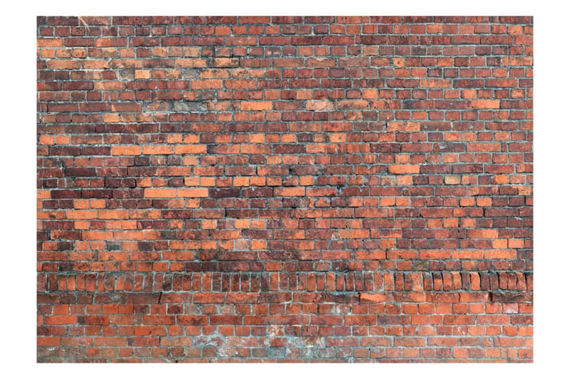 Fototapet Vintage Wall Red Brick 250x175 - Artgeist sp. z o. o. - Fototapet