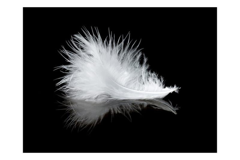 Fototapet White Feather 250x193 - Artgeist sp. z o. o. - Fototapet