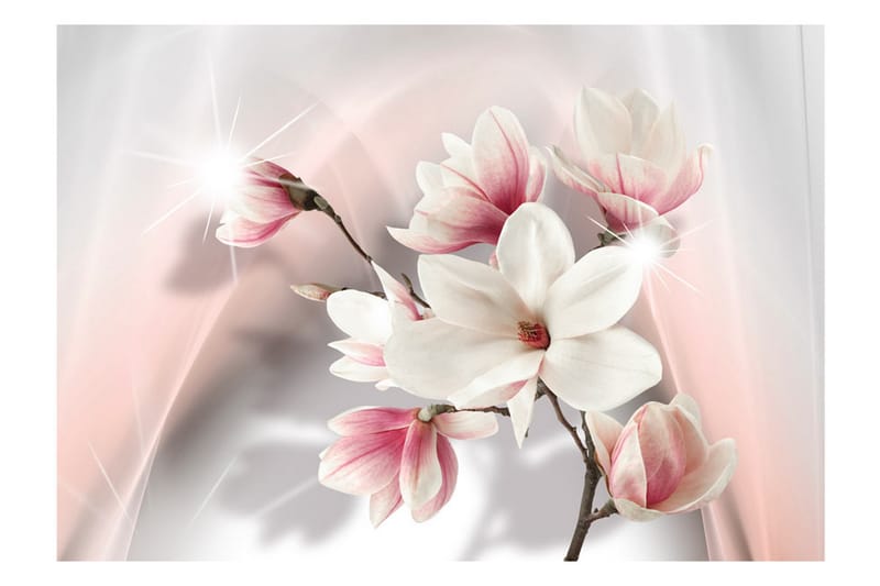 Fototapet White Magnolias 150x105 - Artgeist sp. z o. o. - Inredning - Väggdekor - Tapet & tapettillbehör - Fototapet