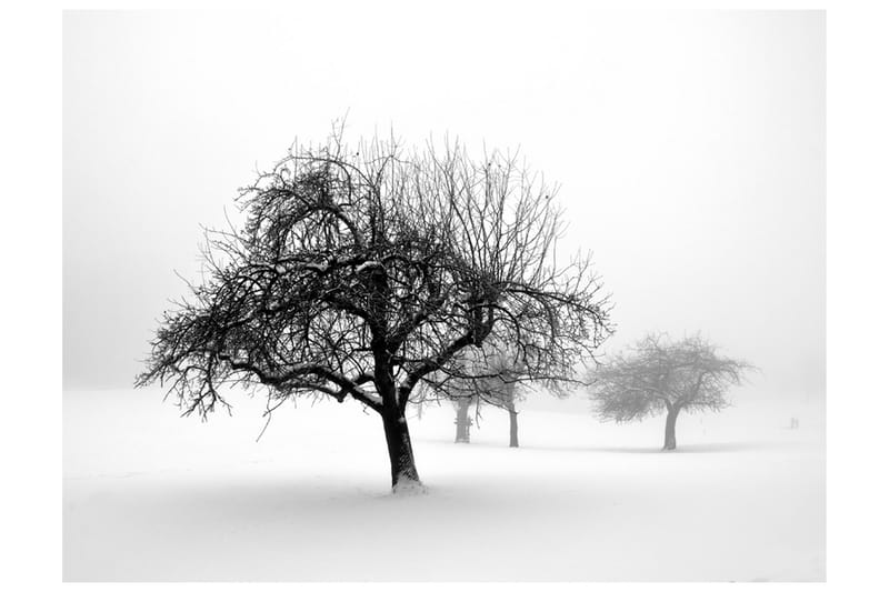 Fototapet Winter Trees 200x154 - Artgeist sp. z o. o. - Fototapet