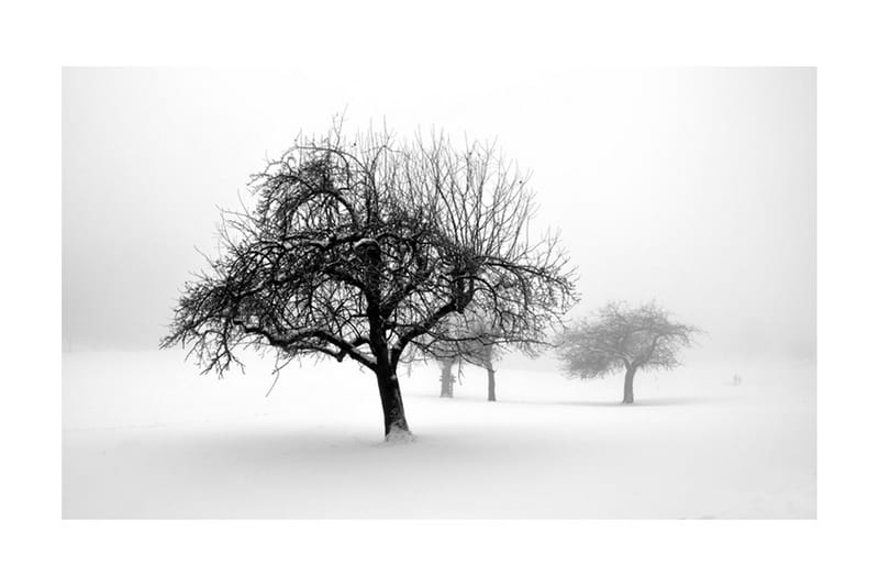 Fototapet Winter Trees 450x270 - Artgeist sp. z o. o. - Fototapet