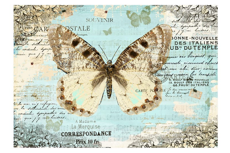 Fototapet Postcard With Butterfly 350x245 - Artgeist sp. z o. o. - Fototapet
