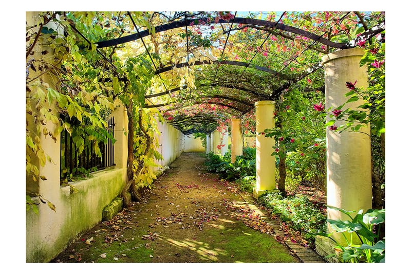 Fototapet Pergola 100x70 - Artgeist sp. z o. o. - Inredning - Väggdekor - Tapet & tapettillbehör - Fototapet