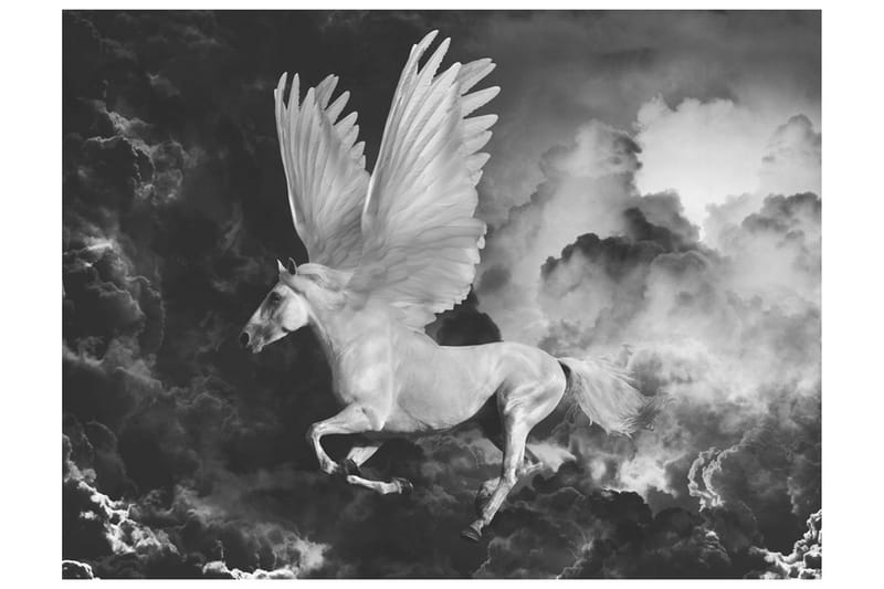 Fototapet Pegasus På Väg Till Mount Olympus 200x154 - Artgeist sp. z o. o. - Fototapet