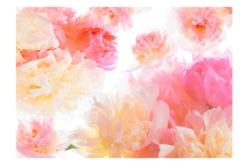 Fototapet Pastel Peonies 250x175 - Artgeist sp. z o. o. - Inredning - Väggdekor - Tapet & tapettillbehör - Fototapet