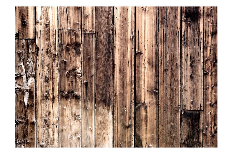 Fototapet Poetry Of Wood 350x245 - Artgeist sp. z o. o. - Fototapet