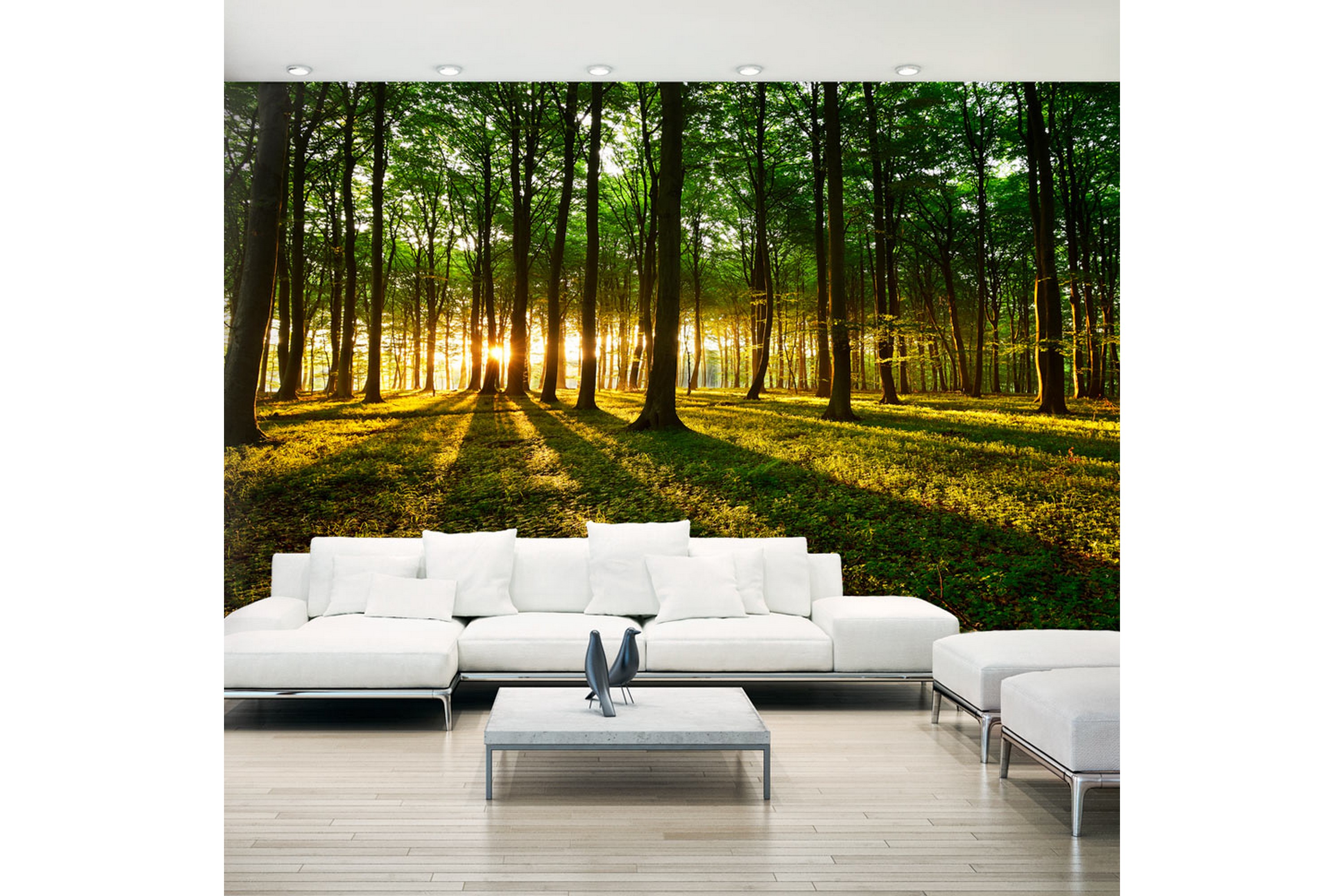 REA/Black Friday Fototapet XXL Mystical Morning II 500x280 - Artgeist sp. z o.