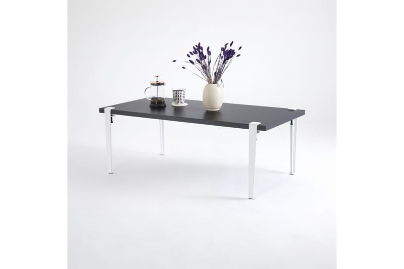 Fonissa Soffbord 120x60 cm Svart/Vit - Hanah Home - Soffbord