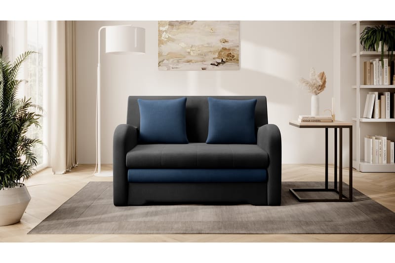 Ario Soffa 2-sits - Svart - 2 sits soffa