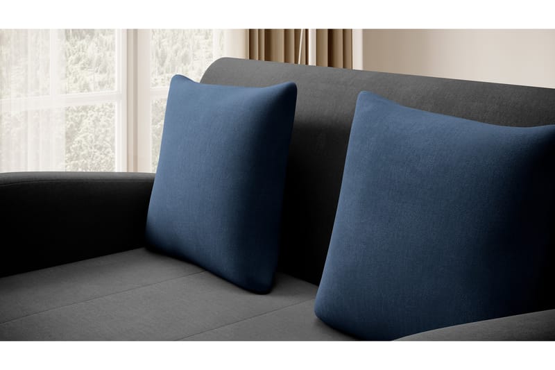 Ario Soffa 2-sits - Svart - 2 sits soffa