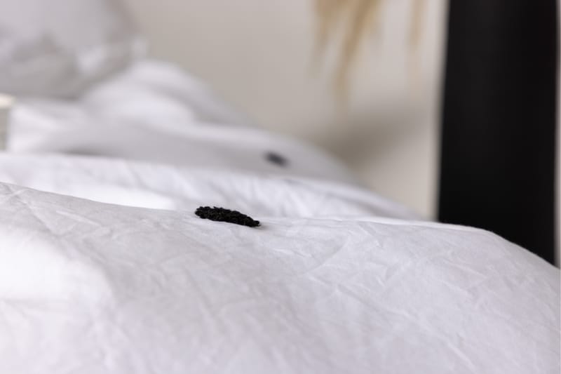 Loke Bedset - Vit - Textil & mattor - Sängkläder - Bäddset & påslakanset - Påslakanset enkelsäng