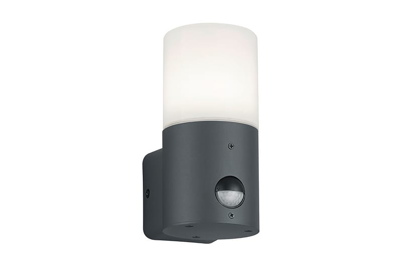 Trio Lighting Hoosic vägglampa E27 rörelsessensor antracit - Vit - Utomhusbelysning - Fasadbelysning & vägglykta - Entrébelysning