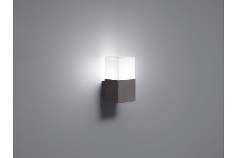Trio Lighting Hudson LED E14 vägglampa 1L antracit - Vit - Utomhusbelysning - Fasadbelysning & vägglykta - Entrébelysning
