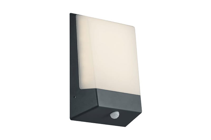 Trio Lighting Kasai LED vägglampa / husnummer antracit - Vit - Utomhusbelysning - Fasadbelysning & vägglykta - Entrébelysning