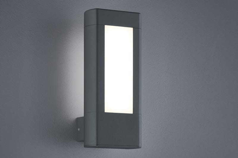 Trio Lighting Rhine LED vägglampa antracit - Vit - Utomhusbelysning - Fasadbelysning & vägglykta - Entrébelysning