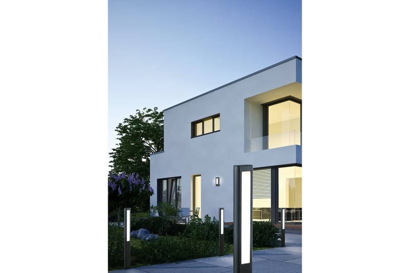 Trio Lighting Rhine LED vägglampa antracit - Vit - Utomhusbelysning - Fasadbelysning & vägglykta - Entrébelysning