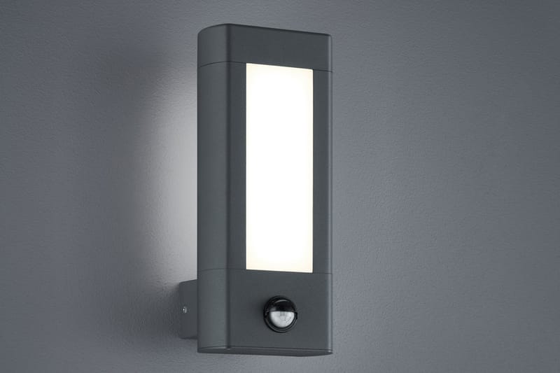Trio Lighting Rhine LED vägglampa rörelsessensor antracit - Vit - Utomhusbelysning - Fasadbelysning & vägglykta - Entrébelysning