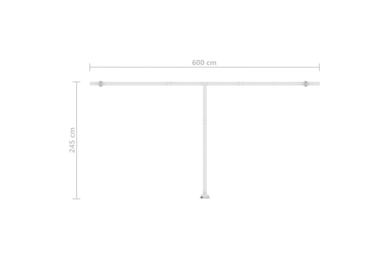 Fristående markis manuellt infällbar 600x300 cm antracit - Grå - Balkongmarkis - Markiser - Terrassmarkis