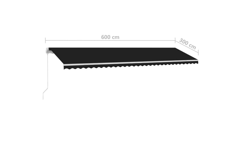 Fristående markis manuellt infällbar 600x300 cm antracit - Grå - Balkongmarkis - Markiser - Terrassmarkis